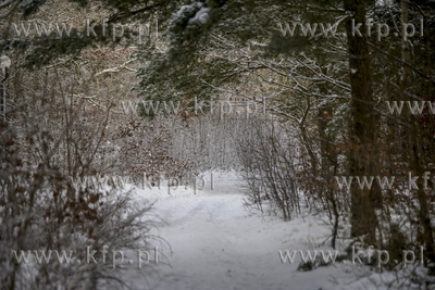 Zima na Kaszubach, okolice miejscowości Rutki. 13.01.2021...