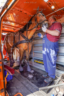 AmberExpo. Piknik rodzinny z okazji 150-lecia gdańskich...