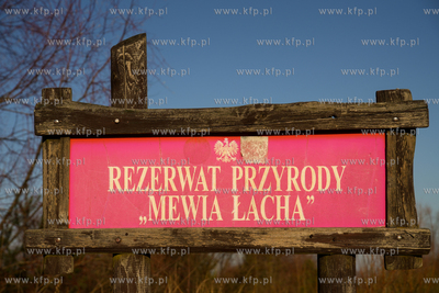 W Mikoszewie, przy ujściu Wisły, pojawił się nowy...