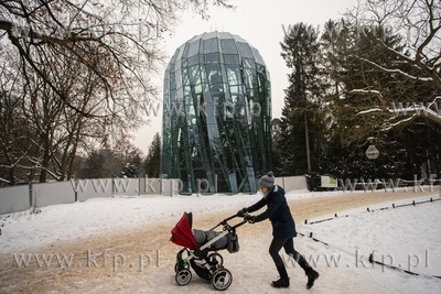 Zima w parku Oliwskim 19.01.2021 / fot. Anna Rezulak...