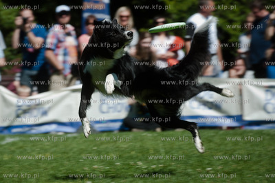 Sopot. Lazienki Polnocne. Trzecia kwalifikacja Dog...
