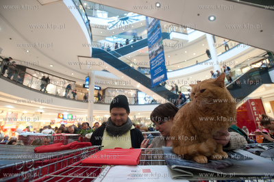 Gdansk. Galeria Baltycka. Obchody swiatowego dnia kota....