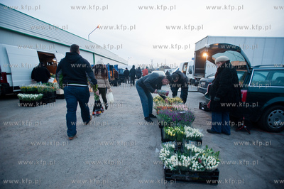 Gdansk. Giełda kwiatowa Dick Inter.
08.03.2013
fot....
