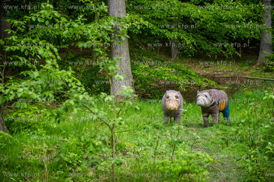 Gdansk. Dolina Radosci. Weekendowa akcja miejska Streetwaves.
31.05.2015
fot....