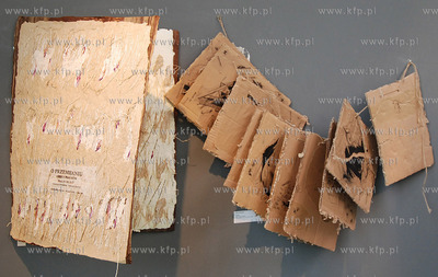 W Pomorskim Parku Naukowo - Technologicznym trwa unikatowa,...