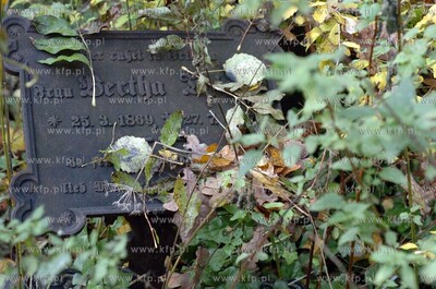 Opuszczony poniemiecki cmentarz w miejscowosci Osowo...