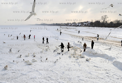 Sopot. Silne mrozy spowodowaly zamarzniecie zatoki...