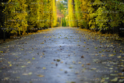 Gdansk Oliwa Park. Fragment parku z basenem parkowym....