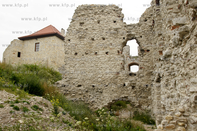 Ruiny zamku Rabsztyn nieopodal Olkusza. 
21.07.2012...