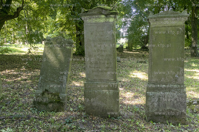 Cmentarz mennonicki z II połowy XVIII wieku w Stawcu...