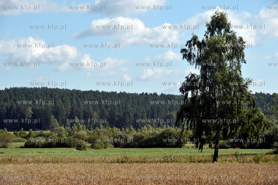Sulmin na Kaszubach w gmienie Zukowo.Widok w kierunku...