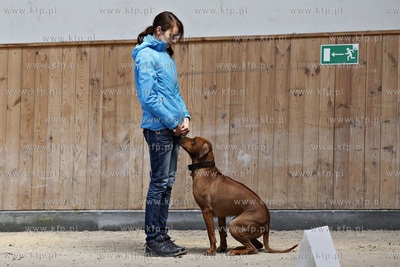 Sopot. Hipodrom. Psie zawody o Puchar Planet Pet Society...