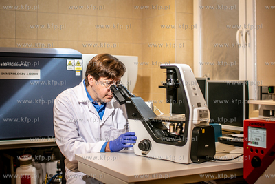 prof. Piotr Trzonkowski ( PolTREG ).
08.09.2021
fot....