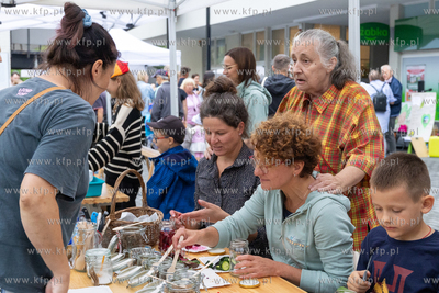 Sopot, Brodwino. Piknik sąsiedzki w ramach Sopockiego...