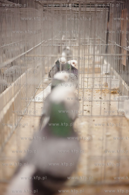 Gdansk. Gdansk. Amber Expo. 8. Miedzynarodowe Targi...