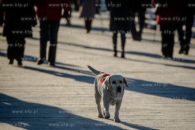Gdansk. Mrozne, sloneczne, sobotnie popoludnie na plazy...