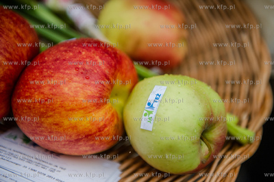 Gdansk. Obchody 10 rocznicy Swiatowego Dnia Zespolu...