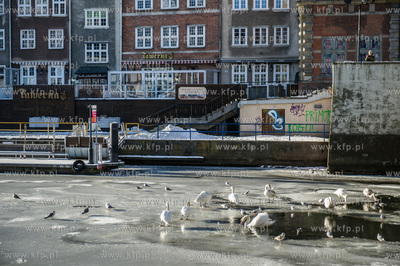 Gdańsk. Mroźny, słoneczny, zimowy dzień. Minusowe...