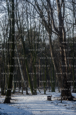 Gdańsk. Park Brzeźnieński im. J. J. Haffnera.
16.02.2017
fot....