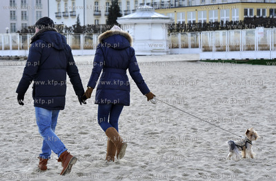 Plaza. Sopot. Okolice Molo. Psy na plazy. 27.02.2016...