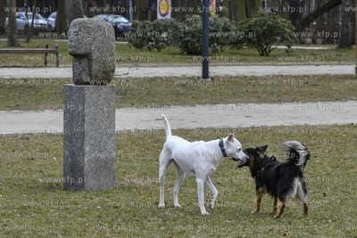 Sopot. Astronomiczna wiosna w Sopocie. 20.03.2021 fot....