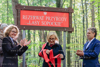 Sopot.  Wielka Gwiazda,  Lasy Sopockie.  Uroczyste...