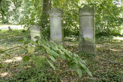Cmentarz mennonicki z II połowy XVIII wieku w Stawcu...