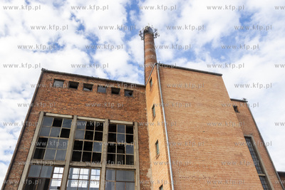 Botaniczny Pruszcz. Spacer badawczy śladem roślin...