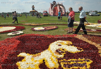 Zulawski Tulipan -  piata edycja imprezy zorganizowanej...
