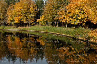 Zukowo. Rzeka Radunia w okolicach mlyna. 21.10.2012...
