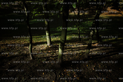 Gdansk. Park Przymorze.
17.10.2012
fot. Krzysztof...