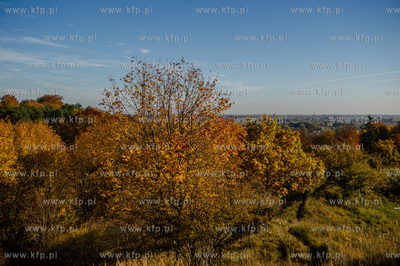Gdansk. Jesienne, sloneczne przedpoludnie w Parku Orunskim.
27.10.2015
fot....