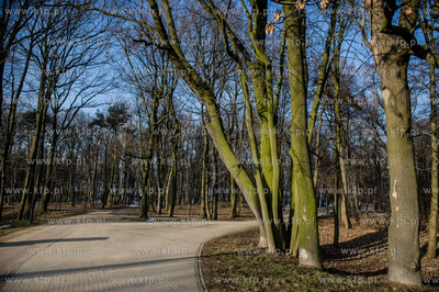 Gdańsk. Park Brzeźnieński im. J. J. Haffnera.
16.02.2017
fot....