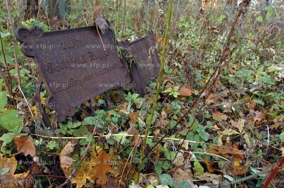 Opuszczony poniemiecki cmentarz w miejscowosci Osowo...