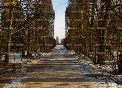 Park Oliwski zima.
30.01.2011
fot. Sebastian Elijasz...