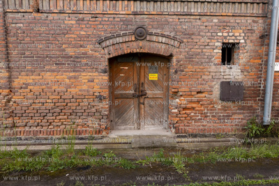 Botaniczny Pruszcz. Spacer badawczy śladem roślin...