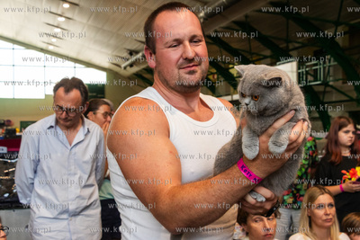 Międzynarodowa wystawa kotów rasowych "Koty na Hawajach"...