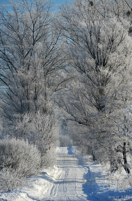 Zima w Sulminie na Kaszubach. Droga z Niestepowa do...