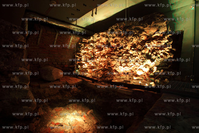 Uroczyste otwarcie Piwnicy Romanskiej z XIIIw., ktora...