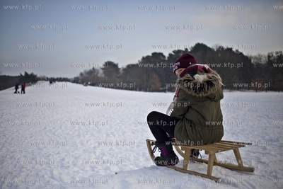 Saneczkarze opanowali górkę w Parku Ronalda Reagana....