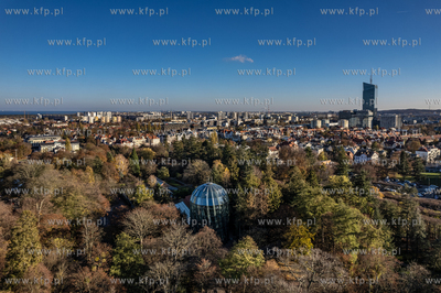 Park Oliwski. Palmiarnia.
06.11.2022
fot. Krzysztof...