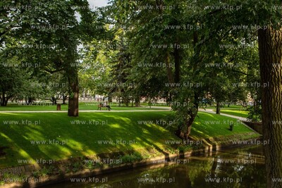 Park na Targu Rakowym po modernizacji. 5.08.2019 /...