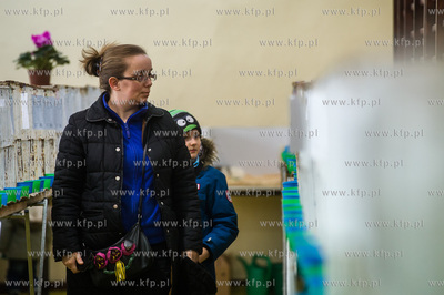 Zespol Szkol Rolniczych w Rusocinie. Wystawa Golebi...