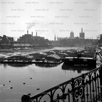 Zimowy postój „czarnej floty” na Motławie.
1973
0000888z...