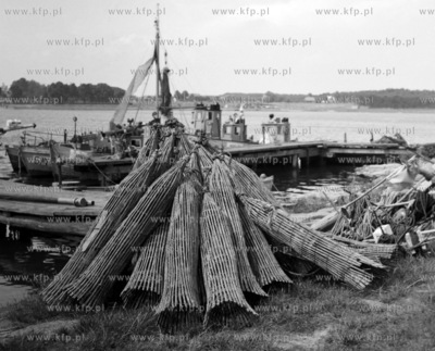 Port rybacki w Świbnie. 
1960
0006757z
Fot. Zbigniew...