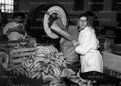 Kontrola bananów w magazynie portu gdynskiego. (lata60).19640008111zFot....