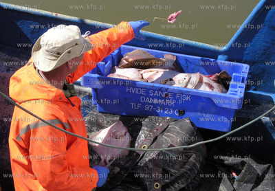 Port w Rowach. Nz rybacy sprzedaja ryby wprost z kutra.
02.05.2009
Fot....
