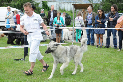 W Zespole Dworsko - Parkowym  w Gdyni Kolibkach odbyla...