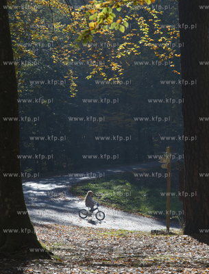 Trójmiejski Park Krajobrazowy jesienią. 13.10.2018...