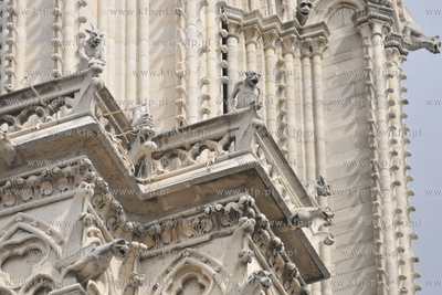 Paryż Wyspa Cite z Placem Św Jana Pawla II.  Katedra...